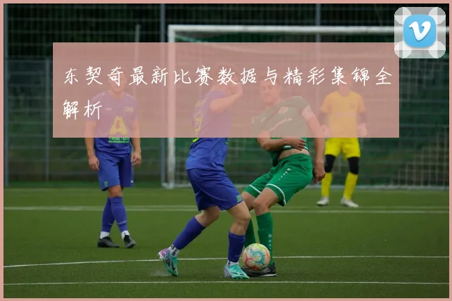 东契奇最新比赛数据与精彩集锦全解析